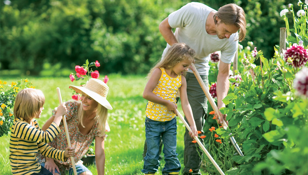 Prevent Unwanted Pests Out of Your Garden