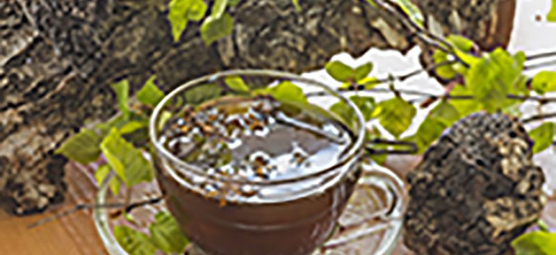 a Chaga Tea Recipe