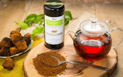 Discover Your New Health Ally the Raw Chaga Tea