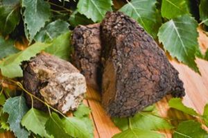 Herbal Therapy through Sayan Chaga