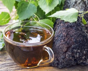 The Chaga Mushroom Benefits You Need in Your Life