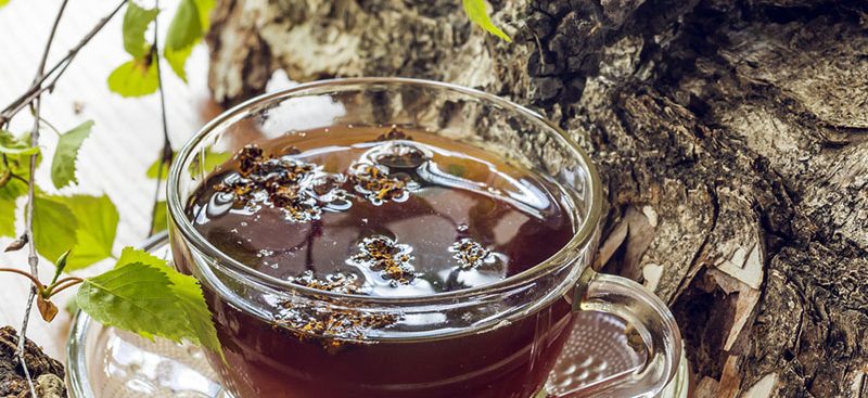 The Chaga Mushroom Benefits You Need in Your Life