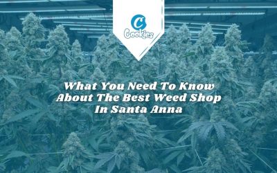 Weed Shop Santa Anna