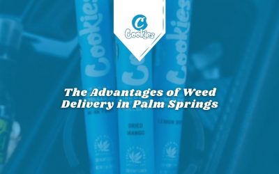 Weed Delivery Palm Springs
