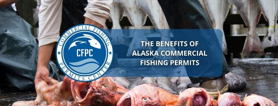 Alaska Commercial Fishing Permits