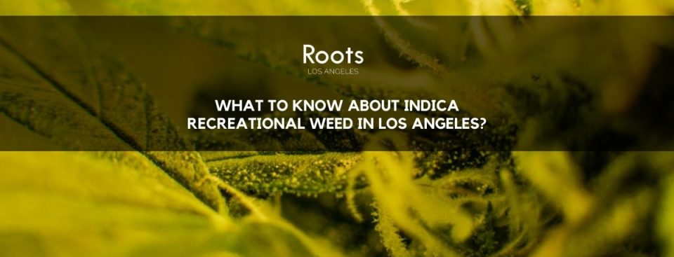 Recreational Weed in Los Angeles