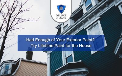 lifetime paint for the house