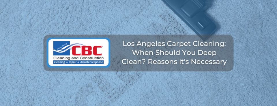 Los Angeles carpet cleaning