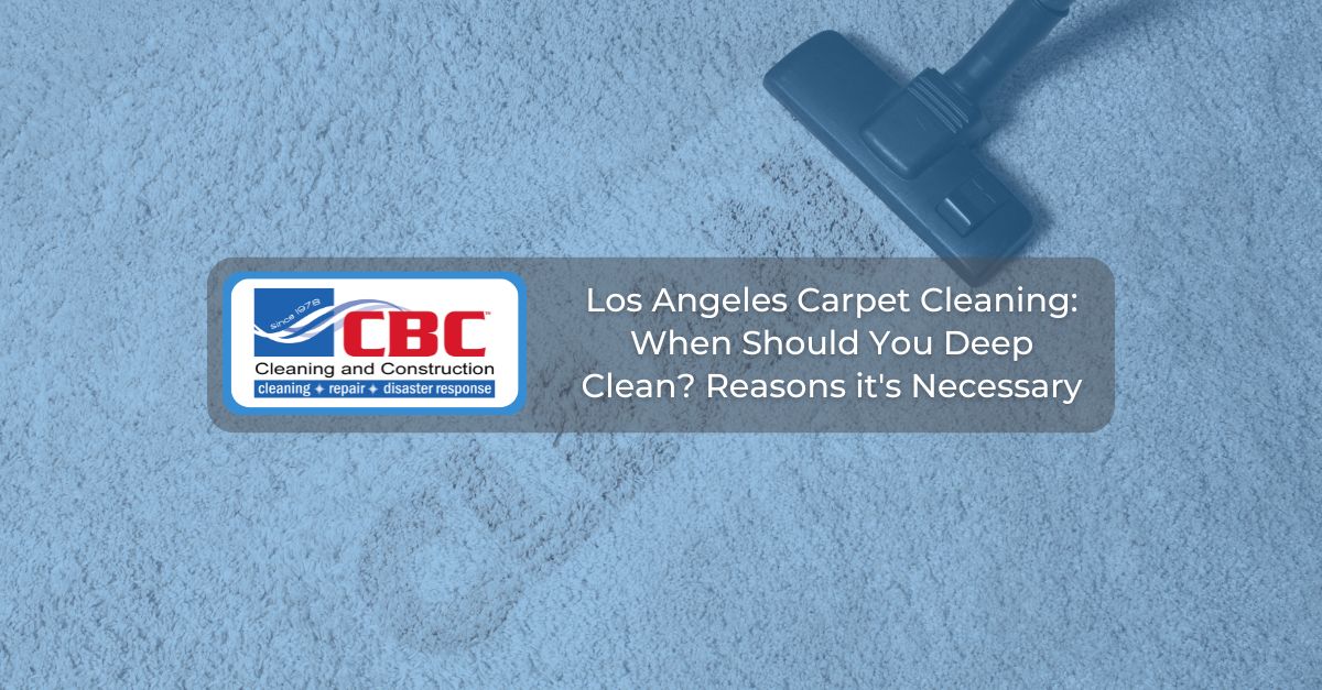 When Should You Deep Clean? Reasons it's Necessary